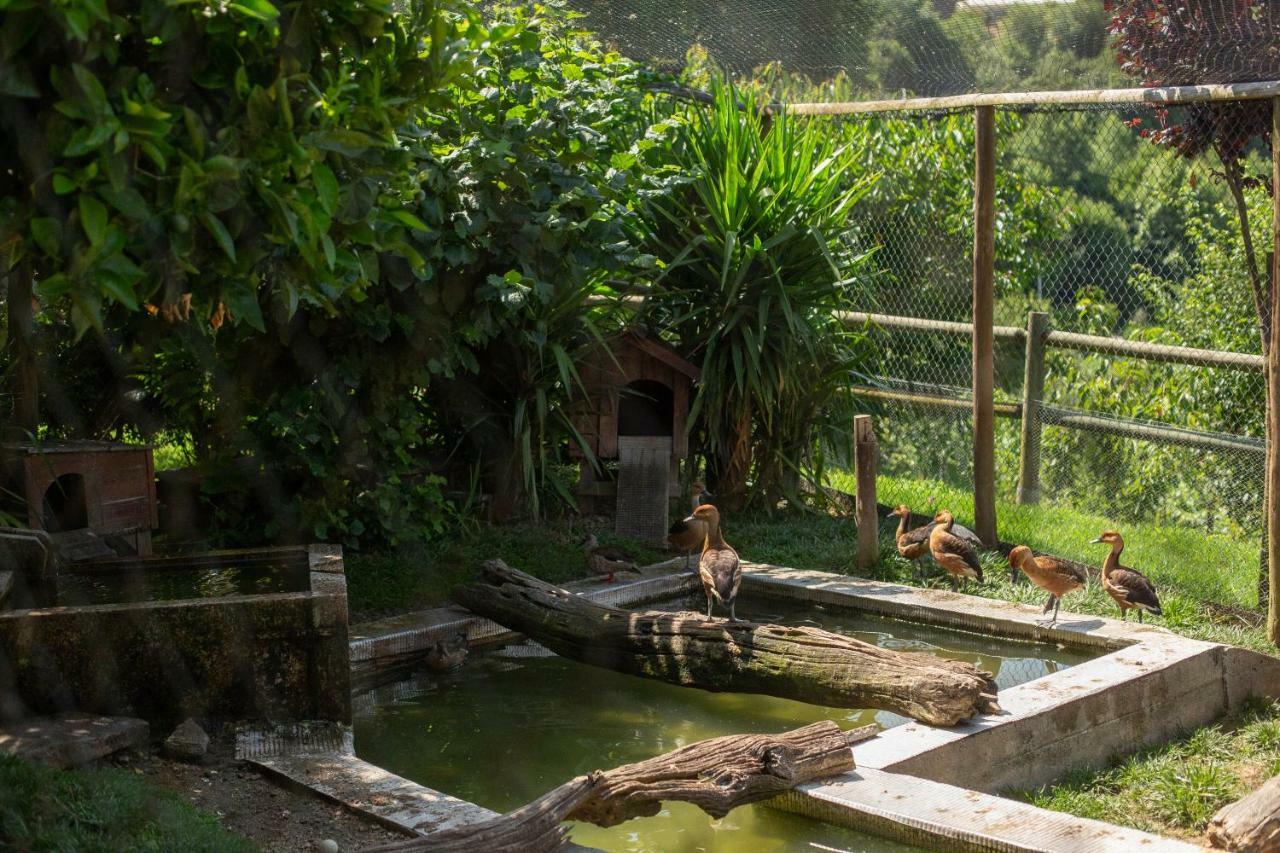 Casa Do Sobrado Hotel วีลาเรอัล ภายนอก รูปภาพ